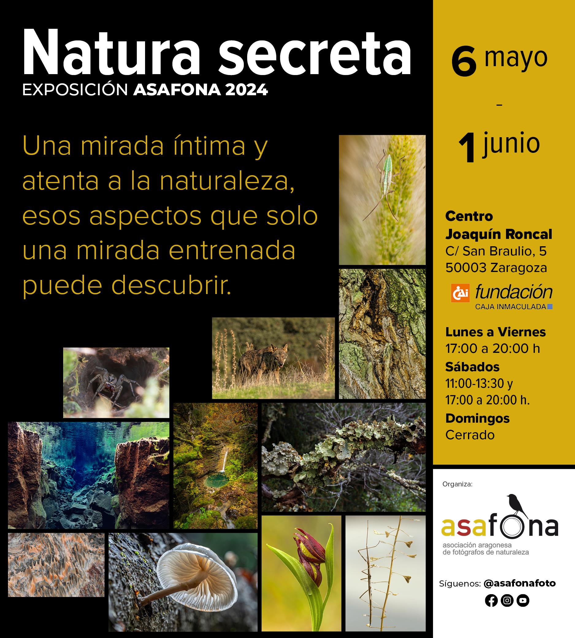 Exposición: "Natura secreta". ASAFONA