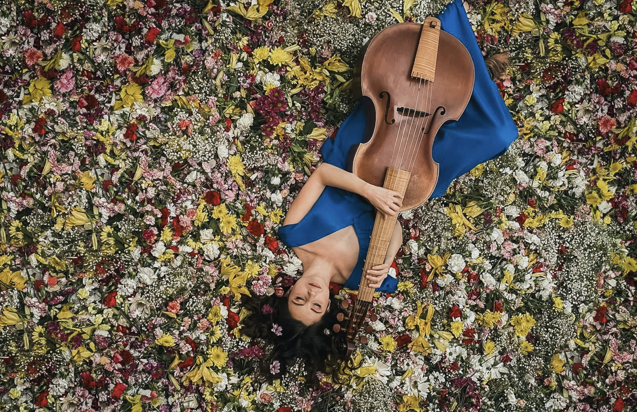 PILAR ALMALÉ “Golondrinas”