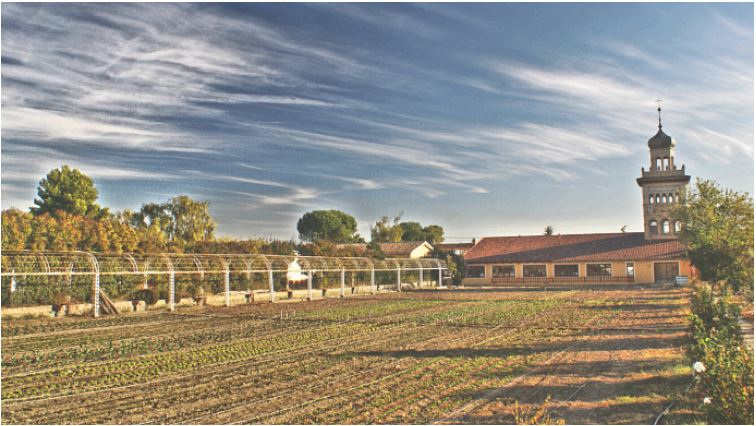 Impulso al programa social de la Granja Escuela CAI Torrevirreina