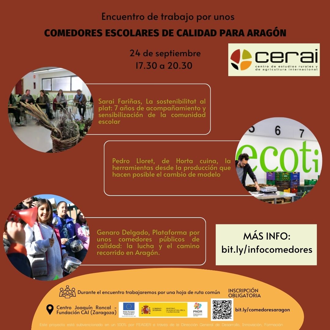 Enfocándonos hacia comedores escolares más saludables y sostenibles