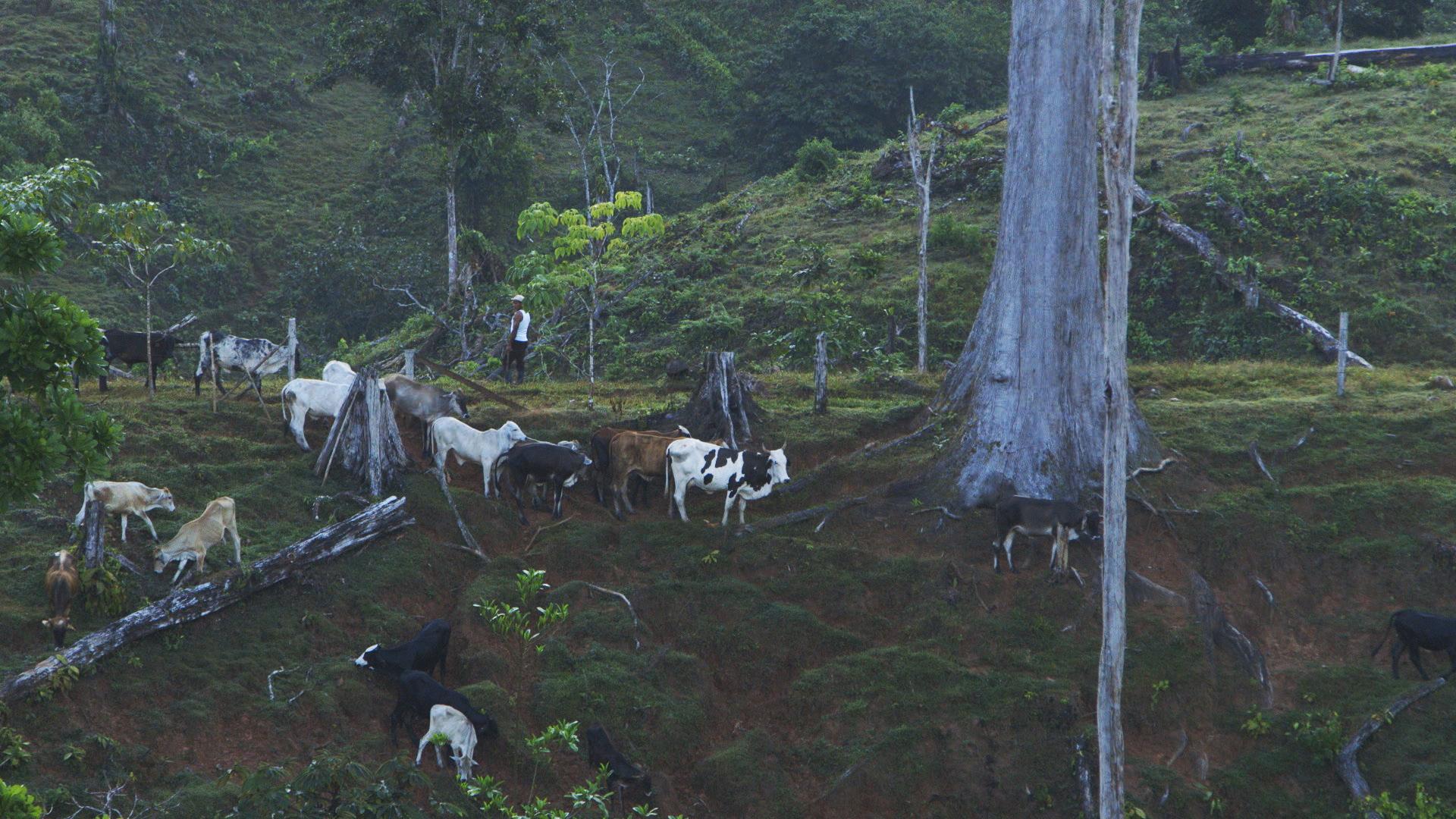 "Patrullaje" /Patrol, de Camilo de Castro y Brad Allgood.