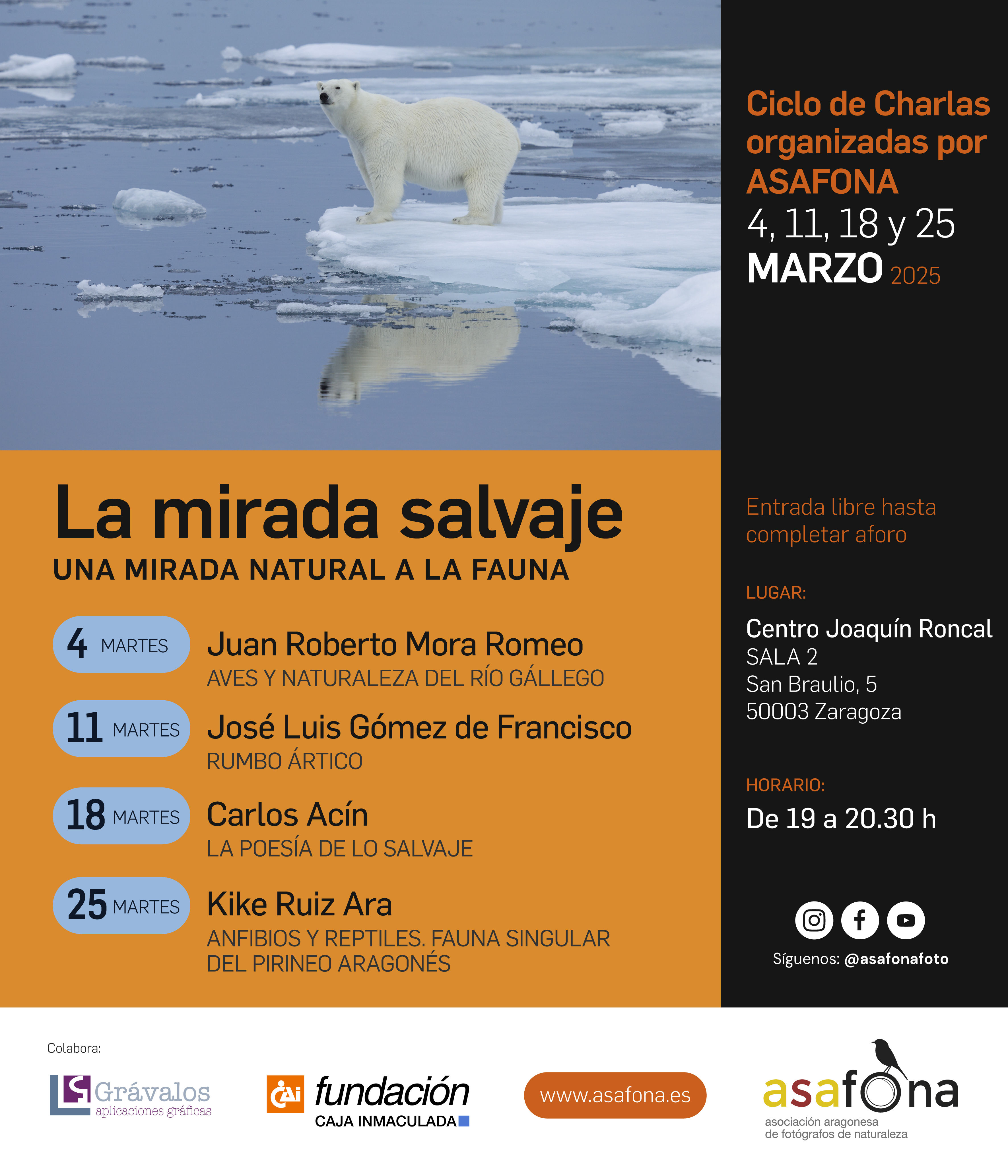 Jornadas de primavera ASAFONA