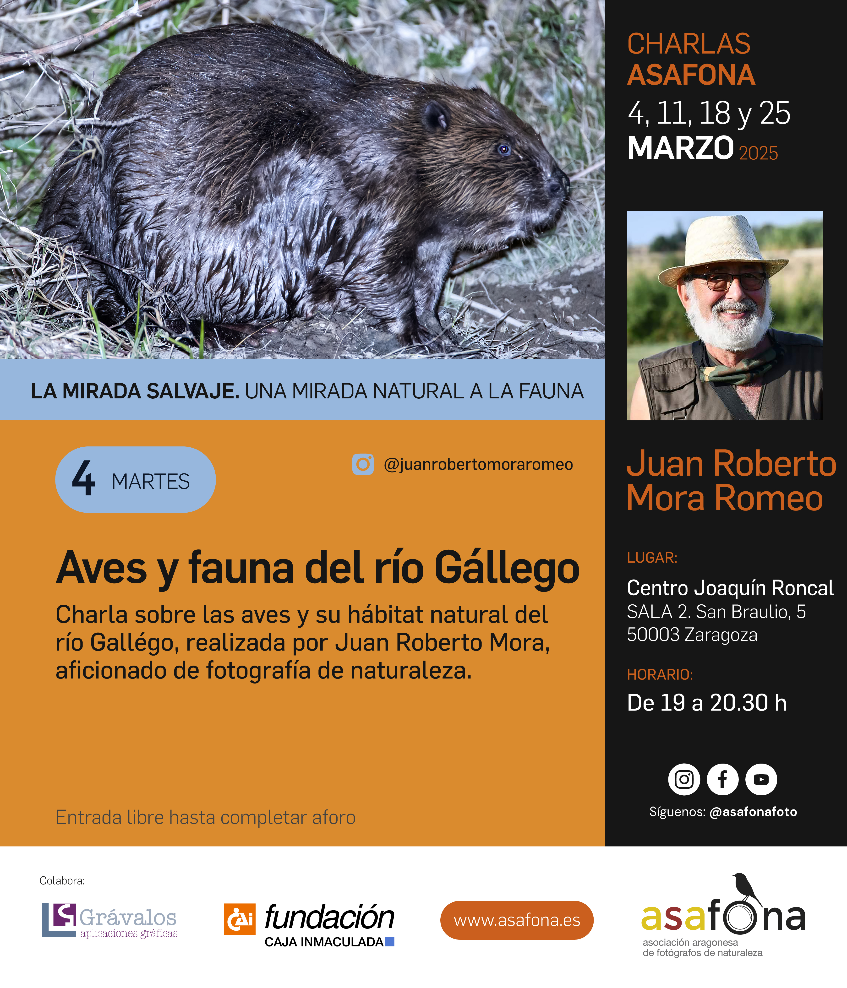 "Aves y naturaleza del río Gállego", por Juan Roberto Mora Romeo