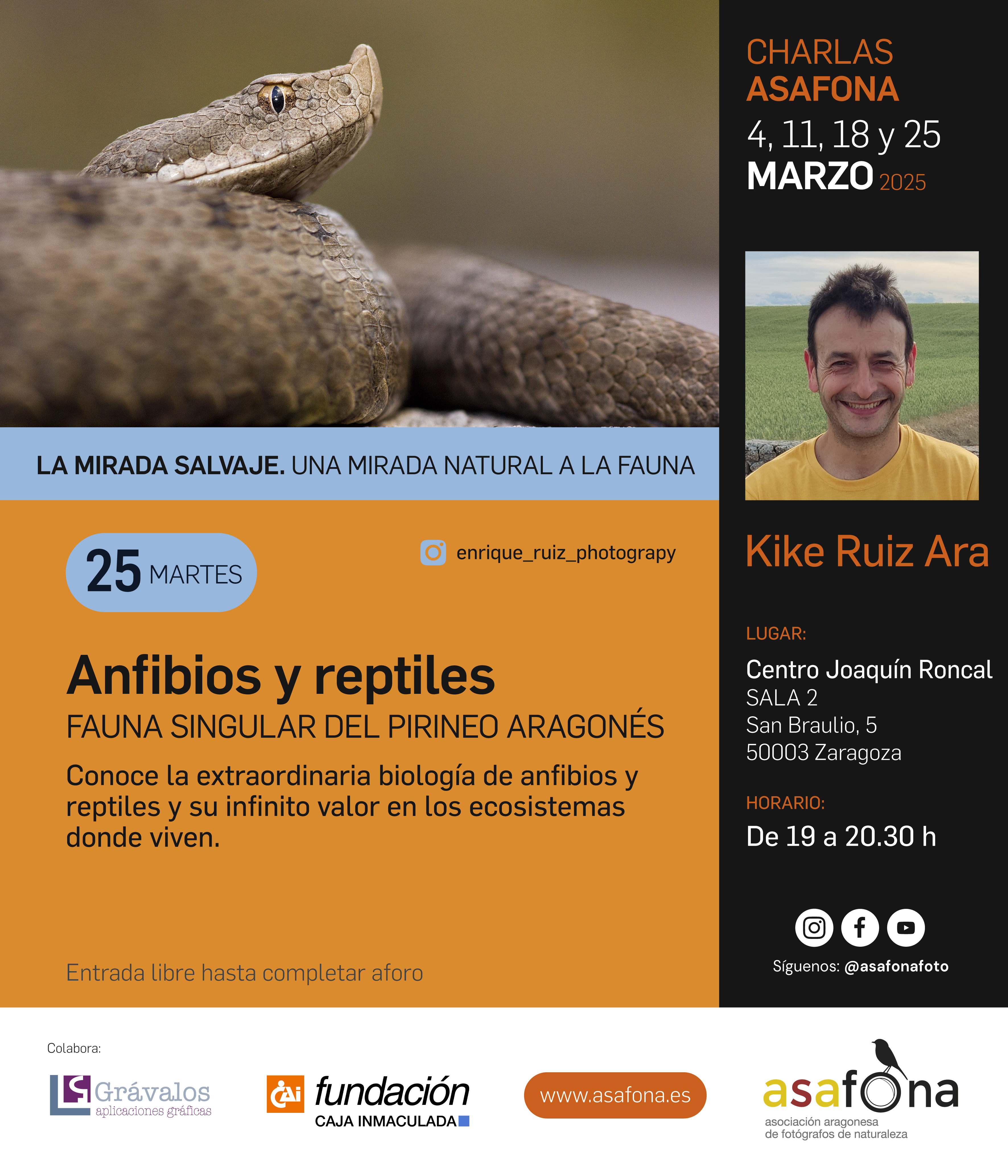 "Anfibios y reptiles, fauna singular del Pirineo Aragonés", por Kike Ruiz Ara