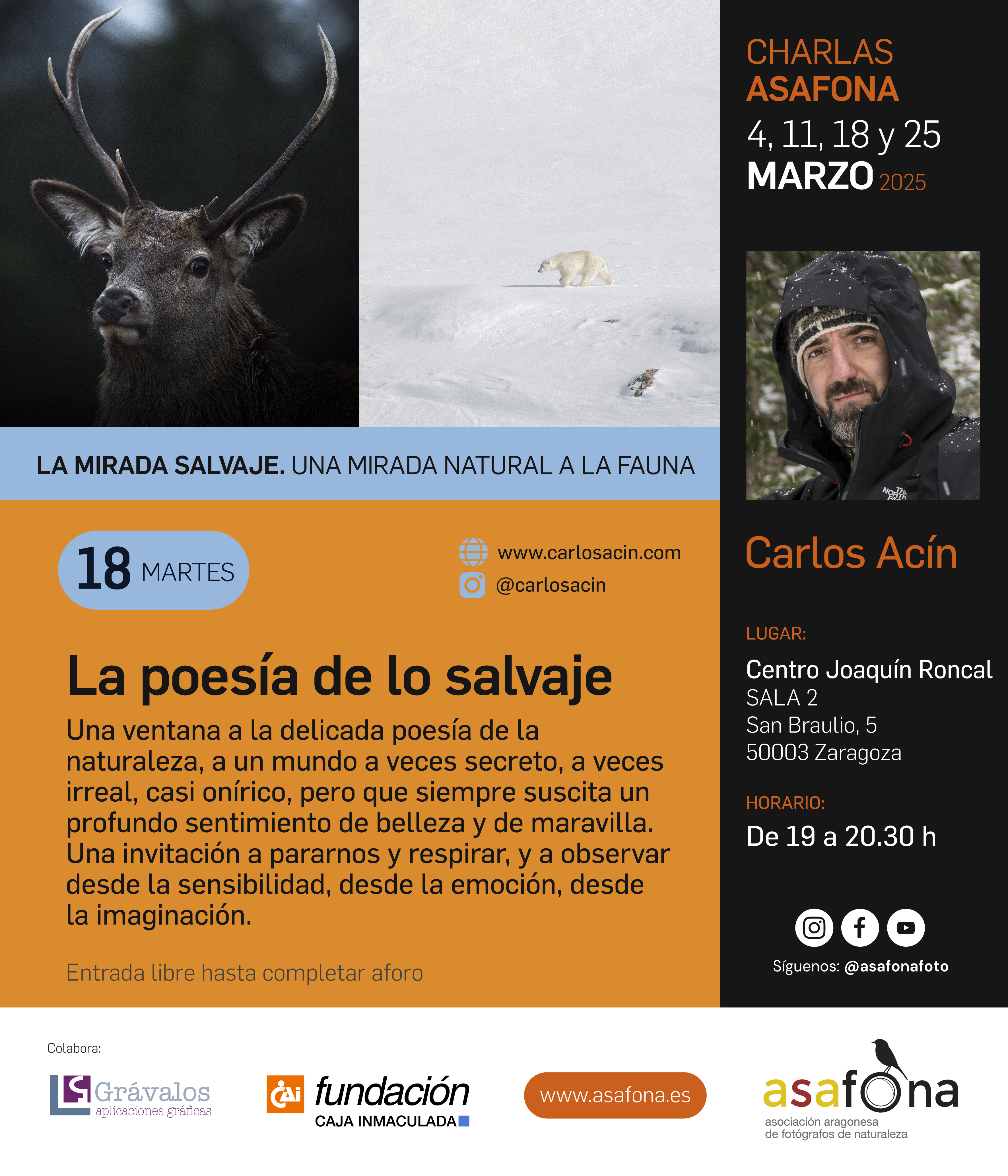 "La poesía de lo salvaje", por Carlos Acín.