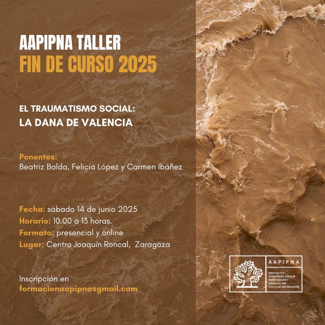 Taller El traumatismo social: La Dana de Valencia