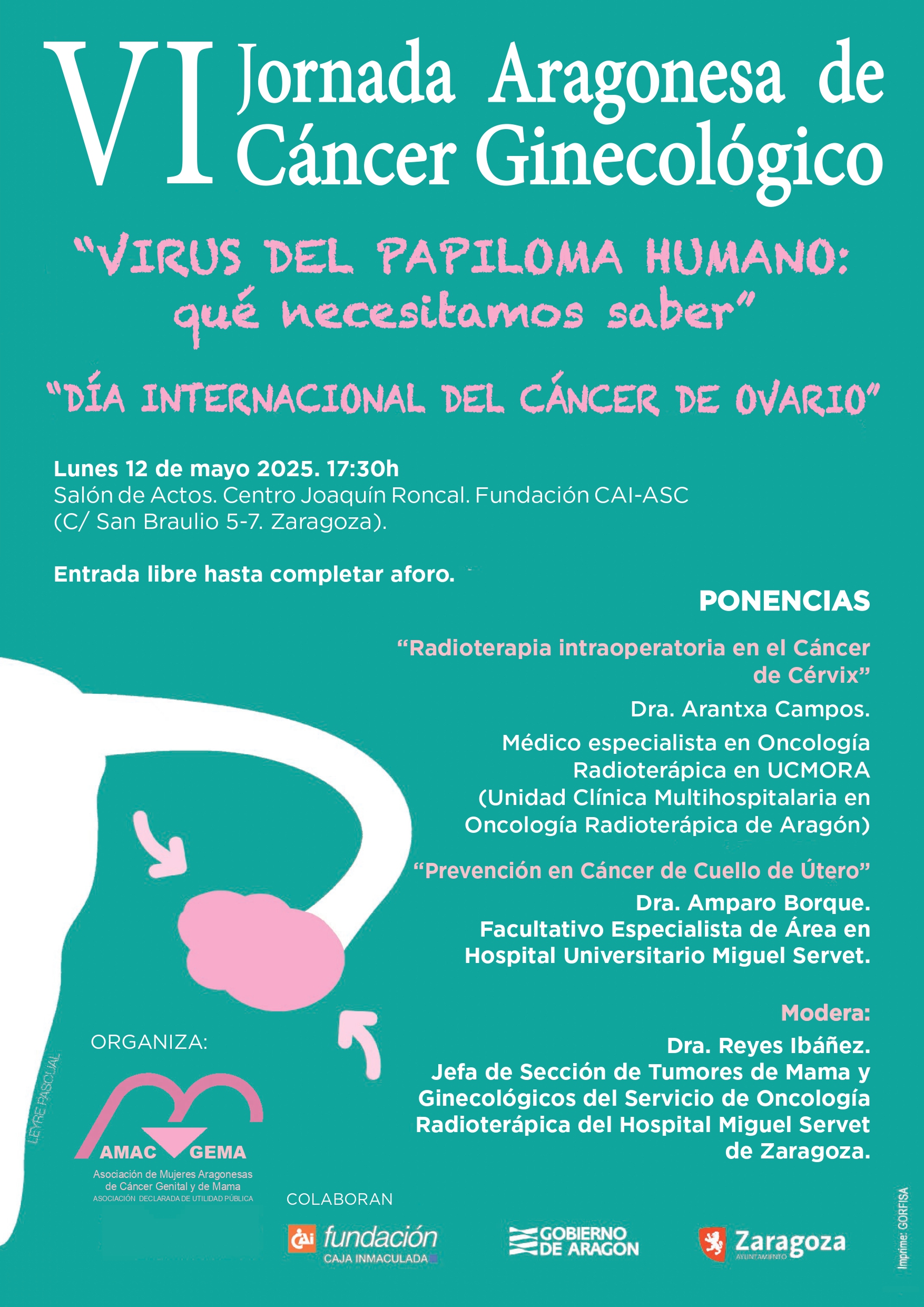 VI Jornada Aragonesa de Cáncer Ginecológico