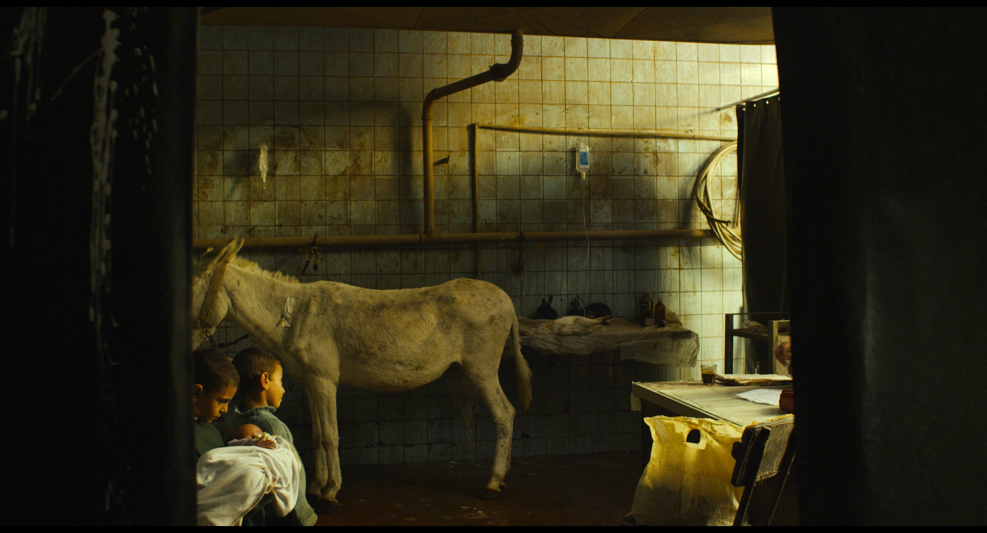 Cine. “Plumas” (Feathers), de Omar El Zohairy. 110 min. 2021. Egipto. VOSE (Árabe)