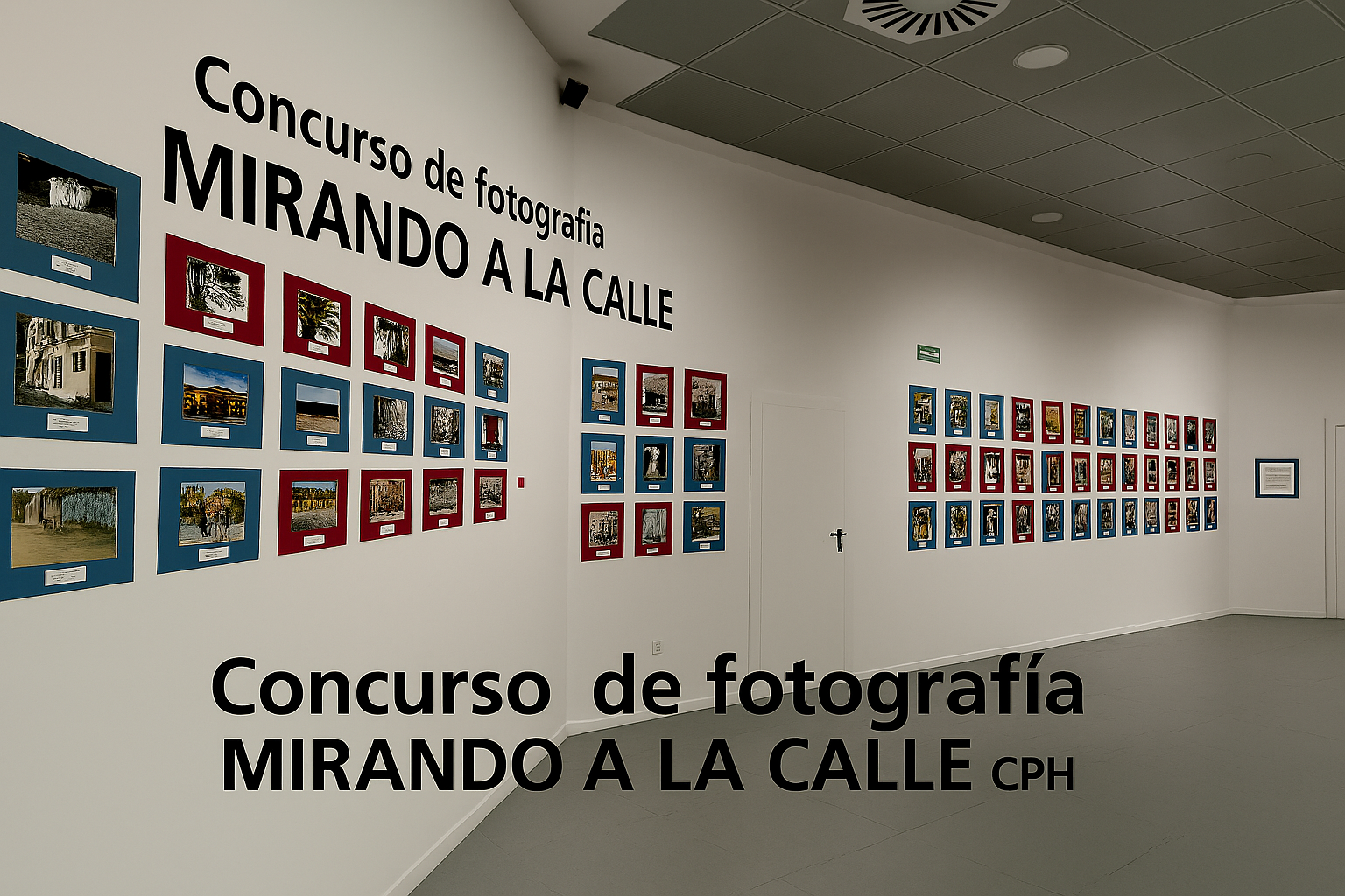 CONCURSO FOTOGRAFICO MIRANDO A LA CALLE 2025