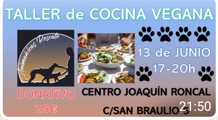 Taller de cocina vegana