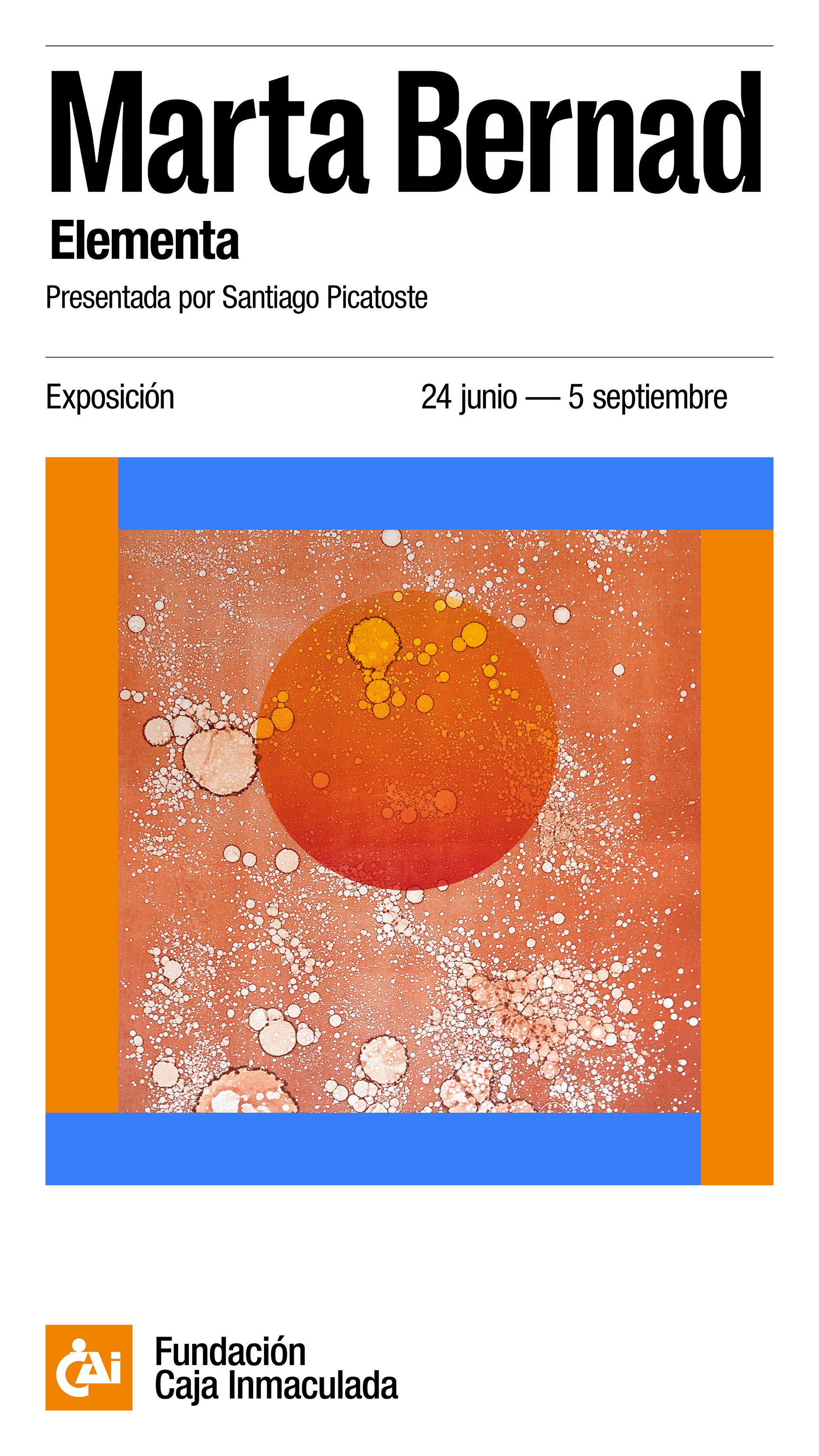 Proyecto Sala i_10. Exposición Marta Bernad. "Elementa" Visita guiada con la artista