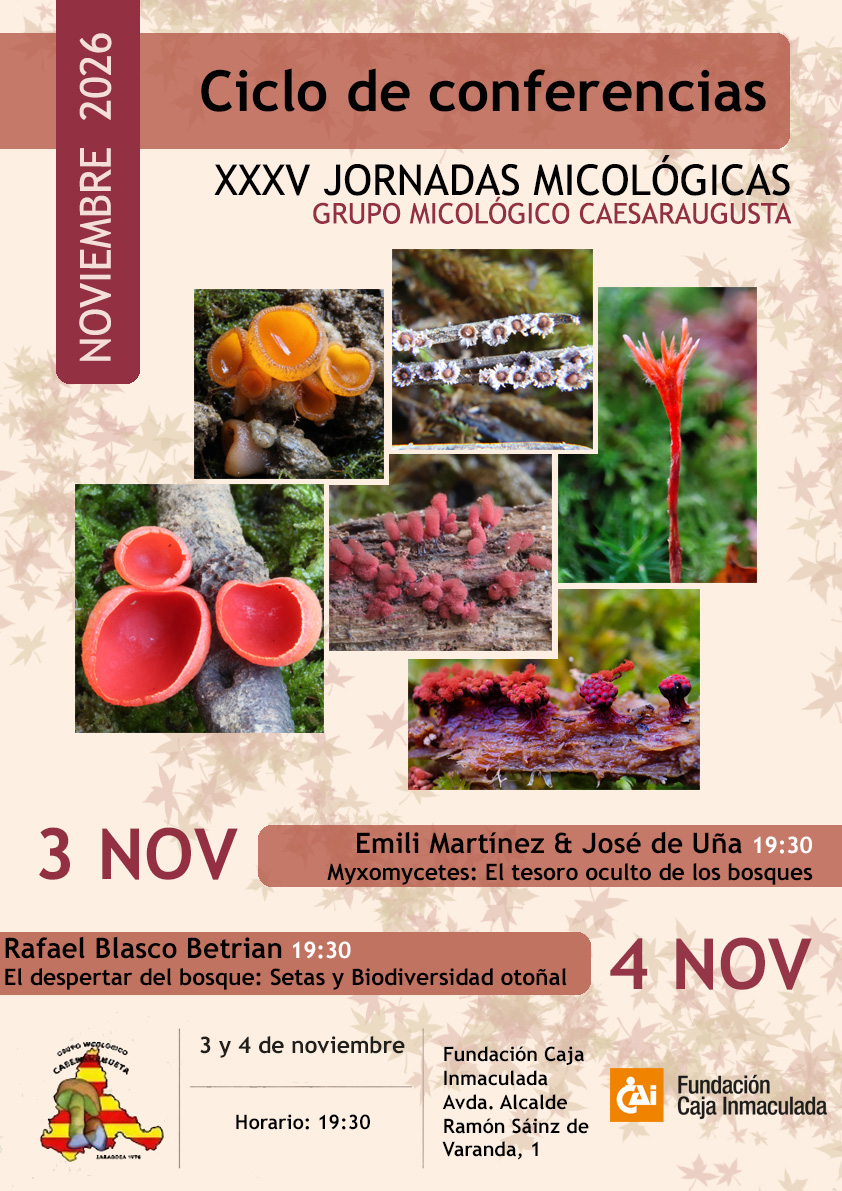 Conferencias Asociación Micológica